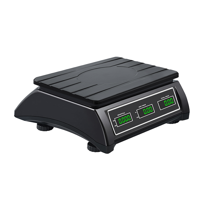 RJ-5606 Waterproof 30Kg Balanza Pricing Computing Electronic Weighing Scales 