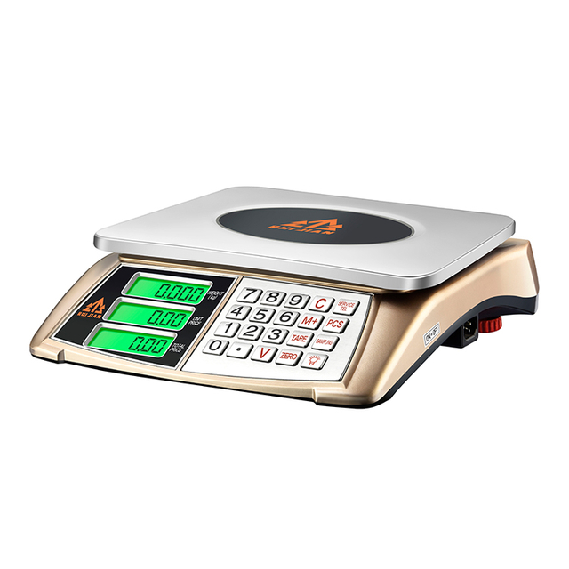 Electronic Weighing Scale Digital Weigh Computing Scale - China