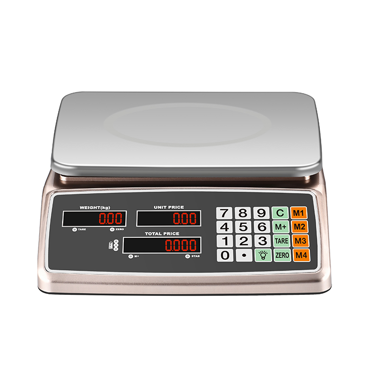 RJ-5605 30Kg Balanza Pricing Computing Electronic Weighing Scales 