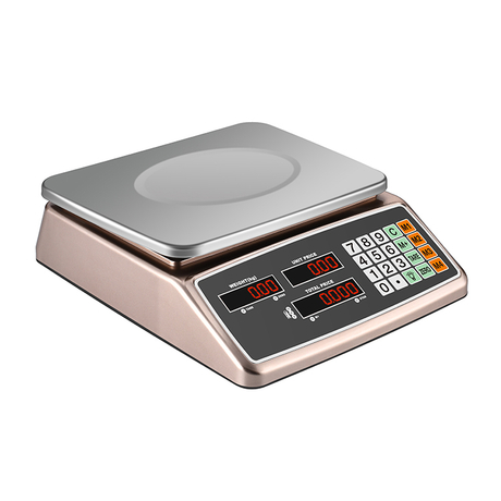 RJ-3002 Double Plates with LCT Load Cell 30Kg/1g Pricing Computing Electronic  Weighing Scale - Buy Electronic Digital Price Computing Scale, electronic  weight machine price 50 kg, digital weighing machine Product on Zhejiang